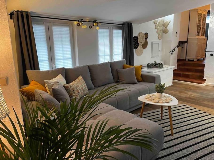 צולפיך Ferienwohnung Terrassenblick מראה חיצוני תמונה